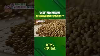 '이것' 많이 먹으면 문제해결 능력 향상된다?🫘 [무엇이든 물어보세요] | KBS 방송