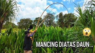 "  TRADITIONAL FISHING  "  MANG GUPP  .. ADALAH SALAH SATU TEKNIK MANCING YANG HAMPIR PUNAH ..  ..