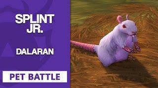 Splint Jr. | 2 SOLO Strategien [Dalaran] - Pet Battle Guide [WoW] Legion