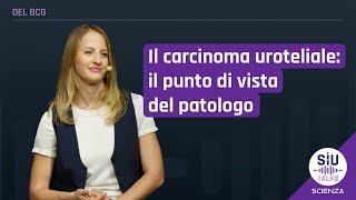 #SIUtalkScienza | Il carcinoma uroteliale: il punto di vista del patologo | Alessia Cimadamore