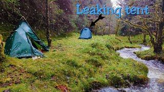 Leaking Tent In The Rainy Deep Woods - Wild Camping