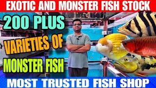 200 Plus Varieties Of Monster Fish | Oscar Fish | Peacock Bass Frotosa Cichlid | Most Trusted Shop