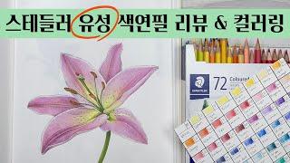 색연필 보태니컬 아트/ 스테들러 유성 색연필 72색 리뷰 & 컬러링북 채색 / 나의 꽃그림 색연필 컬러링북 /컬러링북 하기에 가성비 좋은 색연필 추천