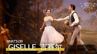 Giselle at the Tianqiao Theater: Audience Comments: "NBC's Dancers Can Almost Defy Gravity!"