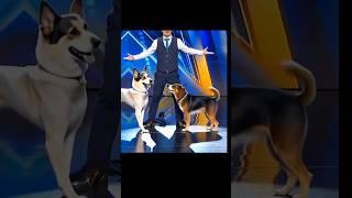 America's Got Talent Dogs Magic | Duo Schumacher#AGT#americagottalent#magic