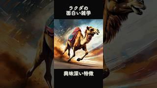 ラクダの面白い雑学・興味深い特徴#雑学 #動物 #トリビア #ゆっくり解説 #面白い