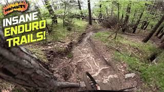 BEST TRAILS IN EUROPE!? NAVA FREERIDE | Jack Moir |