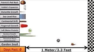 Speed Comparison 3: Slower than Snail