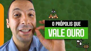 O PRÓPOLIS QUE VALE OURO PARA SUA SAÚDE E IMUNIDADE