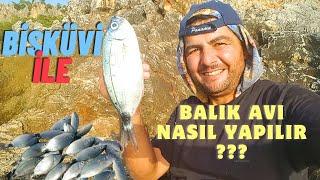 MELANUR BALIK AVI VE YAKALAMA TEKNİĞİ_BİSKÜVİ İLE BALIK AVINI NASIL YAPIYORUM?