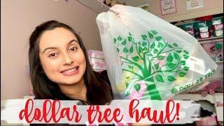 DOLLAR TREE HAUL!!! CUTE CHRISTMAS CARDS AND MORE!