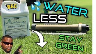 How to retain water in lawn - Green lawn in the Summer Heat