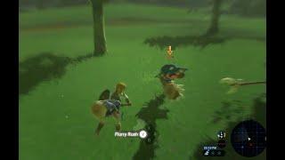 How to survive straight out of the plateau in Zelda Botw