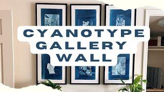 Cyanotype Gallery Wall