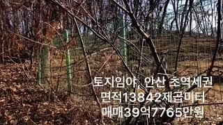 토지임야매매/안산 초역세권 투자용