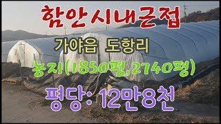 함안 시내근접 급매 시세이하 매우 싼농지 각920평,2740평 평당12만8천