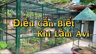 Những Vấn Đề Quan Trọng Khi Làm Và Thiết Kế Aviary - Chuồng Nuôi Chim Cảnh || Đạt Bird TV