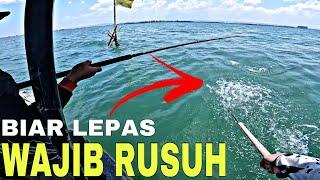 Terlalu mudah mancing barramundi di rumpon semarang yang satu ini