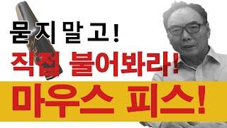 왜 해매는가! 미치도록 좋은 (피스) 여기다 두고