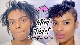 Transforming 2 Week old Mini Twist Pt 1