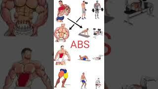 All workout || chest exercise || leg exercise || abs exercise || MP Sujeet