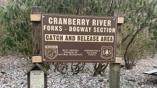 Cranberry Wilderness 14.9-mile Hike in West Virginia | #wilderness #hiking #hike