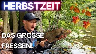 HERBSTLICHES METHOD FEEDER