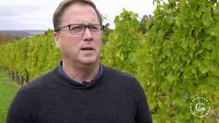 Chateau Grand Traverse Harvest Season