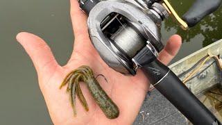Fishing Docks for Early Summer Bass!