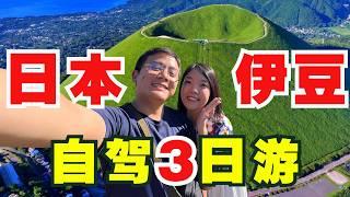 3天2夜！第一次日本自驾游！绝佳亲子游路线大推荐【日本旅游EP10】