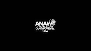 ANAW-USA One Health Conversation Series - Episode 1: The Human-Animal Connection