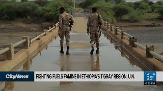 Fighting fuels famine in Ethiopia’s Tigray region: U.N.