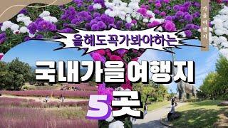 10월여행지추천 5곳/가을여행지/핑크뮬리 명소/9월말부터가기좋은여행지