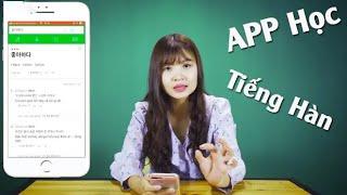 TOP 3 Ứng Dụng Học Tiếng Hàn Không Thể Bỏ Qua | APP Học Tiếng Hàn Tốt Nhất