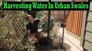 Harvesting Water in Urban Swales In the Garden and Food Forest
