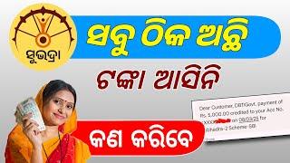 ସବୁ ଠିକ ଅଛି ଟଙ୍କା ଆସିନି କଣ କରିବେ | Subhadra Money Not Received Yet What to Do - Subhadra 2nd Kist