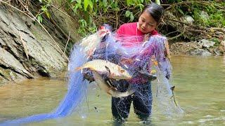 Discovering a giant school of stream fish | catching fish, trapping fish on a rainy day