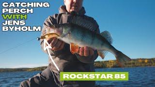 PERCH fishing in SWEDEN with the ROCKSTAR!