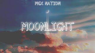 MOONLIGHT (lofi) - MGX NATION