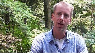 Sustaining Forest Ecosystem Services
