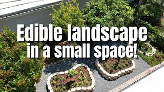 EDIBLE LANDSCAPE in a SMALL SPACE!