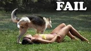 People Doing Stupid Things - Funny videos Fails 2017 NEW