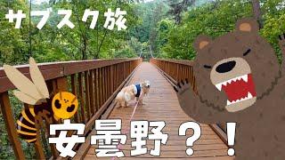 【サブスク旅長野山梨編2】そうだ！安曇野へ行こう