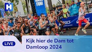 TERUGKIJKEN: Dam tot Damloop 2024