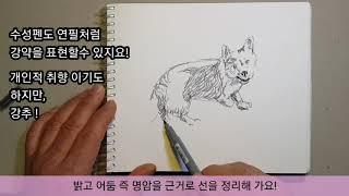 #스케치 쉽게하는 방법#그림 그리기#취미    10분 힐링스케치