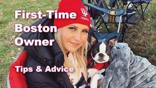 First-Time Boston Terrier Owner Shares Tips & Advice!