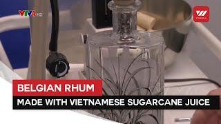 Belgian Rhum Made With Vietnamese Sugarcane Juice | VTV World