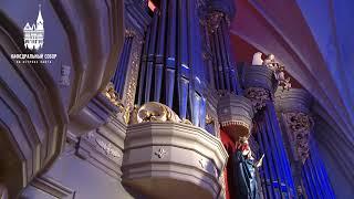 Martin Schmeding (organ). Kaliningrad Cathedral, Kant Island