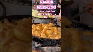 #shorts #nagda #mptour #streetfoodshorts