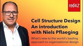 Cell Structure Design: An intro to the world’s most coherent approach to organizational structure